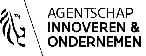 Vlaams Agentschap Innoveren & Ondernemen